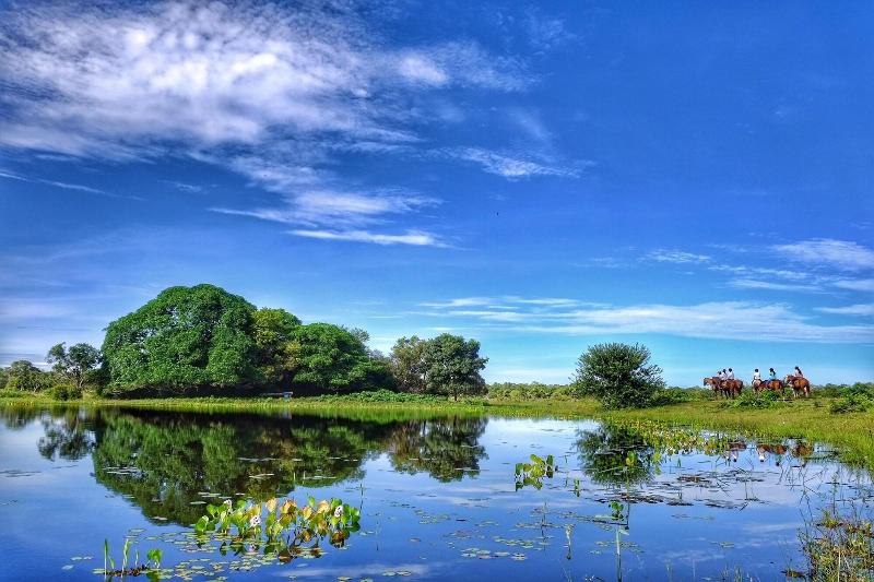 בית מלון כפרי Pousada Aguape