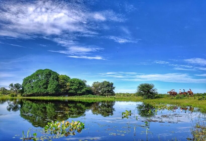 בית מלון כפרי Pousada Aguape