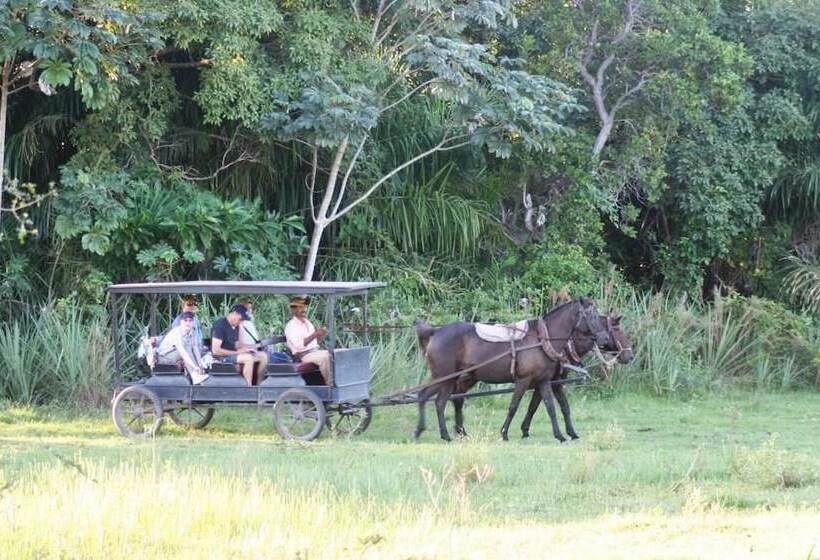 בית מלון כפרי Pousada Aguape