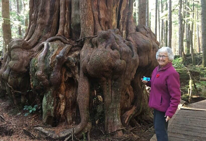 فندق The Great Escape Shirley With Hot Tub