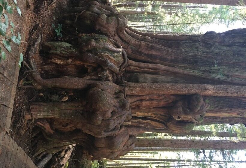 فندق The Great Escape Shirley With Hot Tub