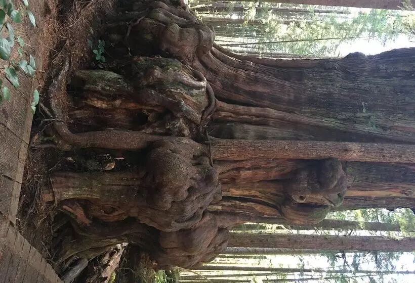 Hotelli The Great Escape Shirley With Hot Tub