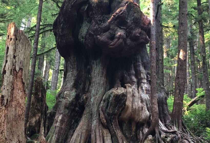 فندق The Great Escape Shirley With Hot Tub