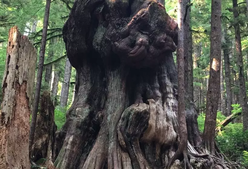 Hotelli The Great Escape Shirley With Hot Tub