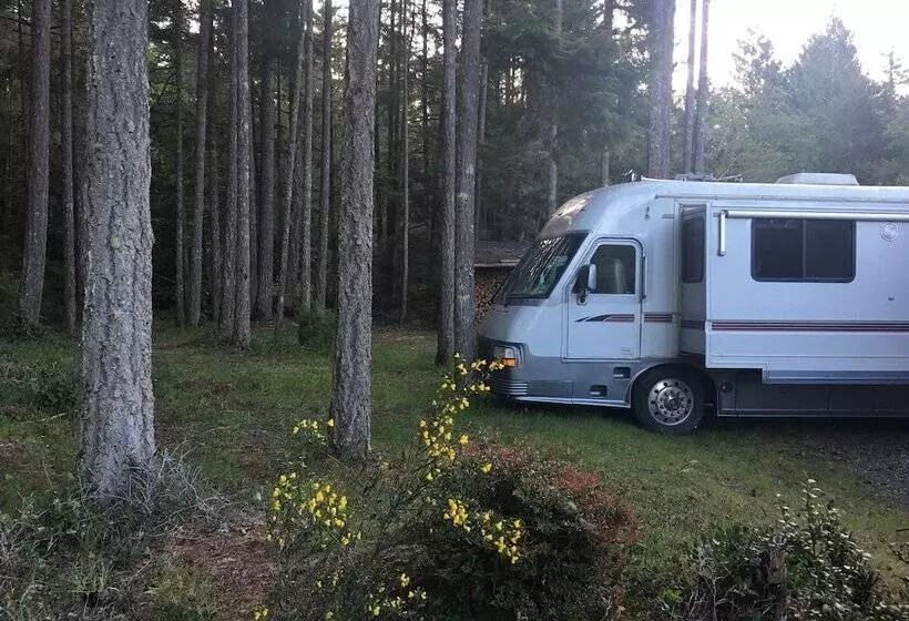 Hotelli The Great Escape Shirley With Hot Tub