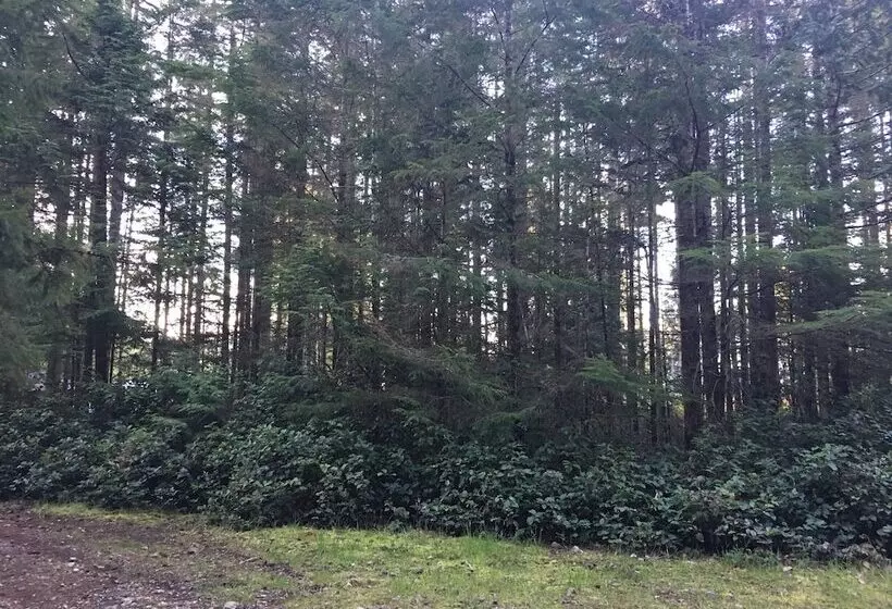 Hotelli The Great Escape Shirley With Hot Tub