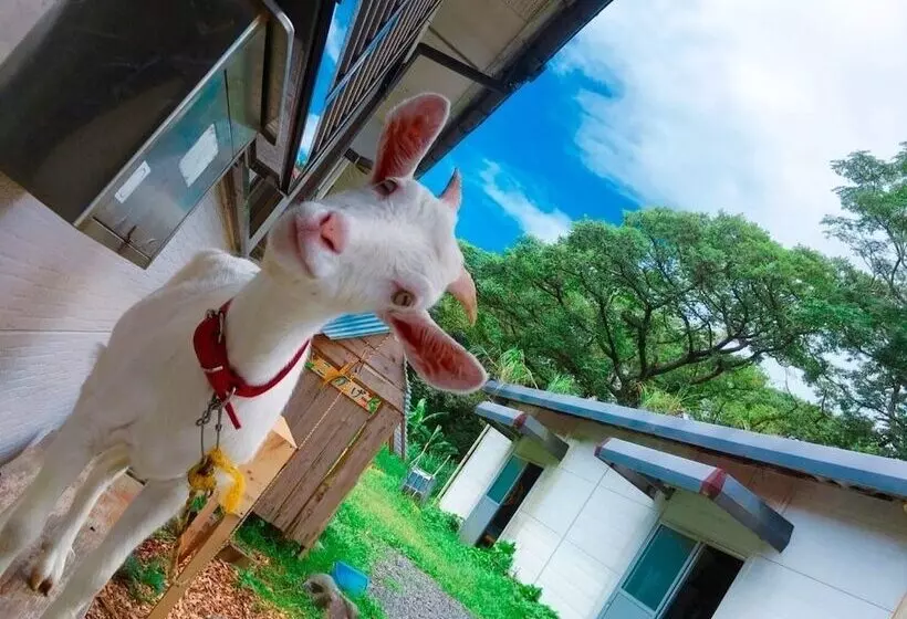 هتل Yakushima Guesthouse Suginoko