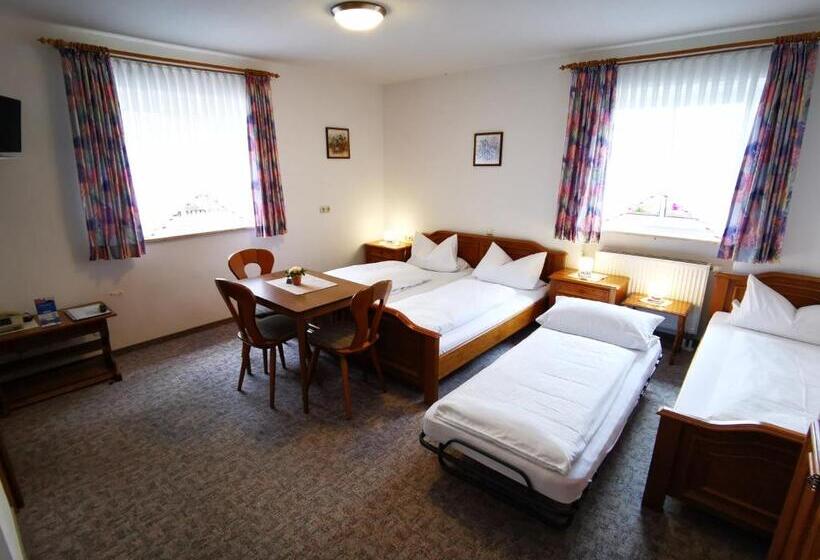 Pensió Gasthof Endres