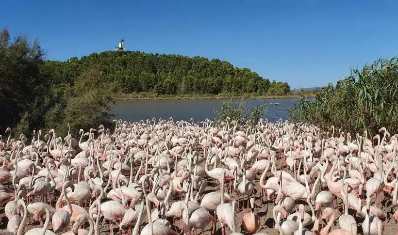 Hotelli Hôtel L Alsace Gare Sncf