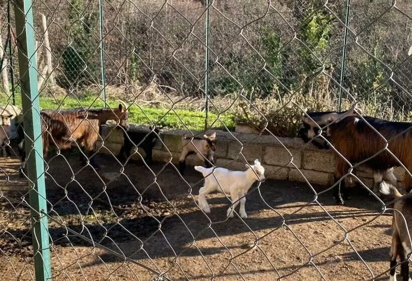 هتل Agriturismo La Pigna