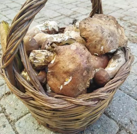 هتل Agriturismo La Pigna