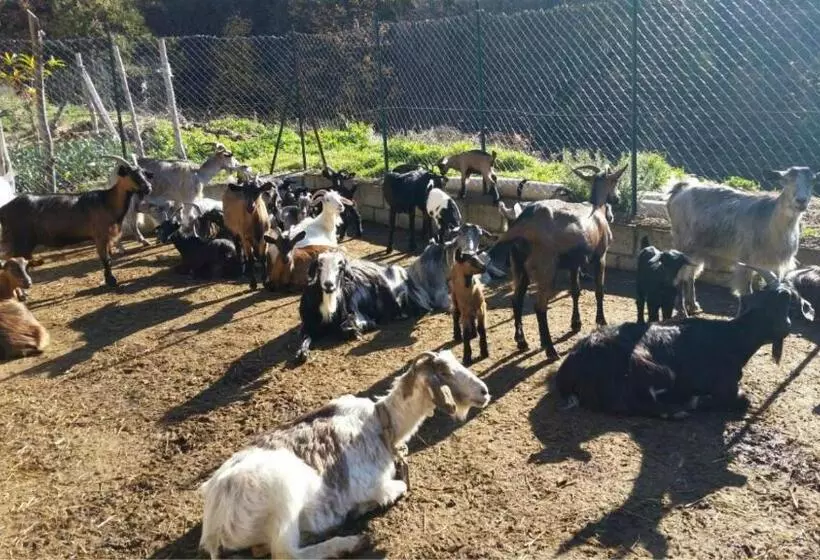 هتل Agriturismo La Pigna