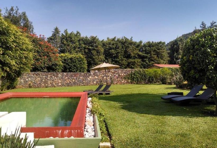 فندق Boutique La Milagrosa