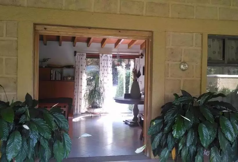 ホテル Boutique La Milagrosa