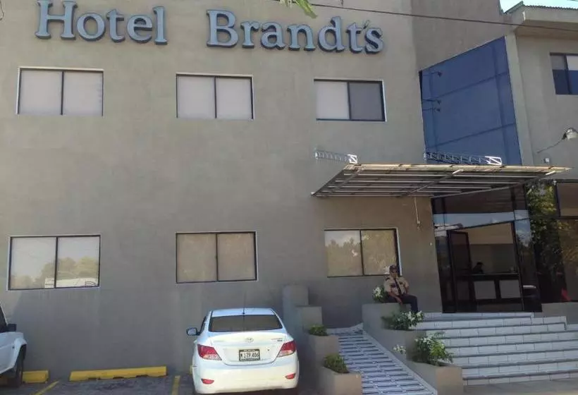 هتل Brandts Ejecutivo Los Robles