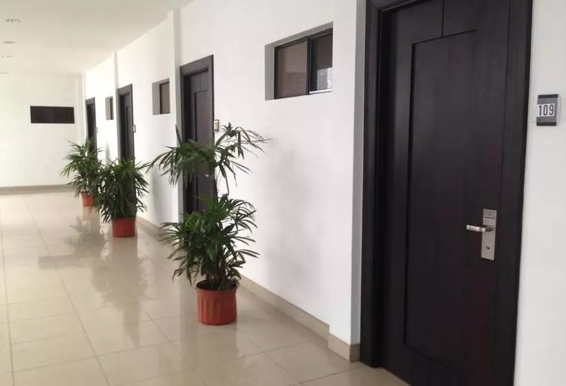 هتل Brandts Ejecutivo Los Robles