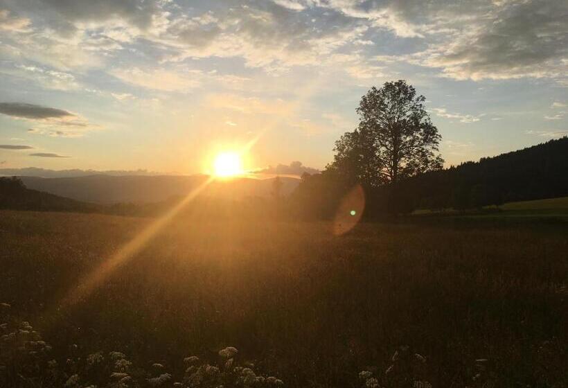 بنسيون Penzion Haltmar