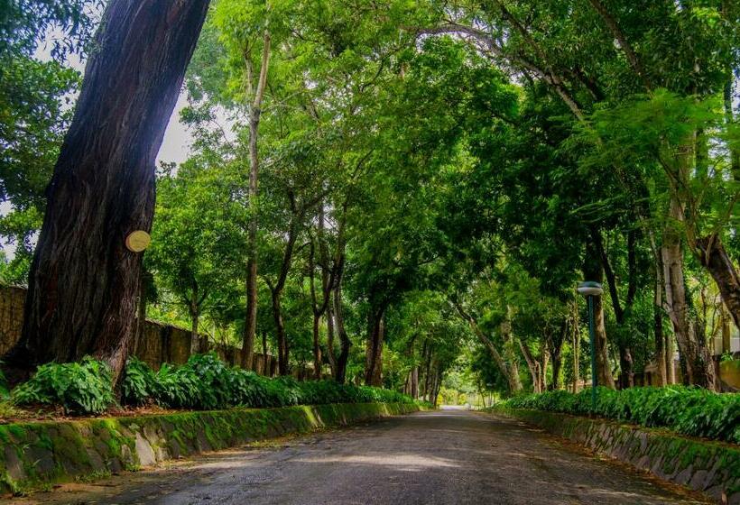 Tamarind Tree Garden Resort   Katunayake