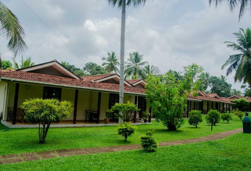 Tamarind Tree Garden Resort   Katunayake
