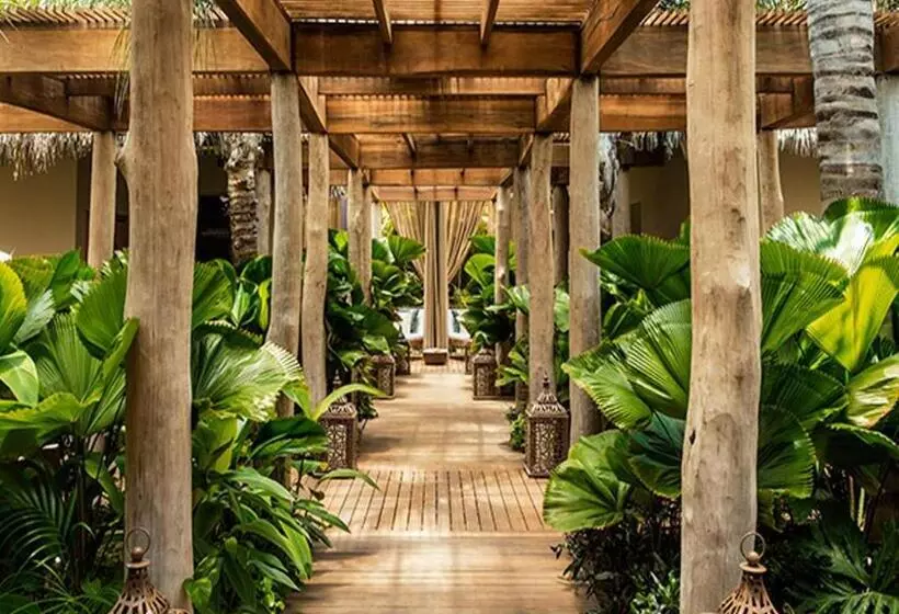 Vidant At Nuevo Vallarta