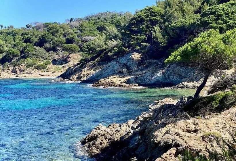 هتل Château De Valmer