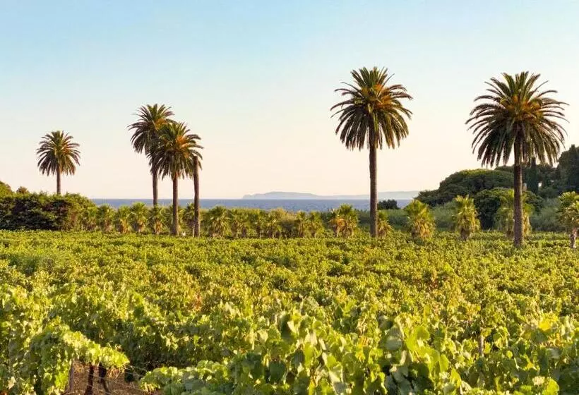 هتل Château De Valmer