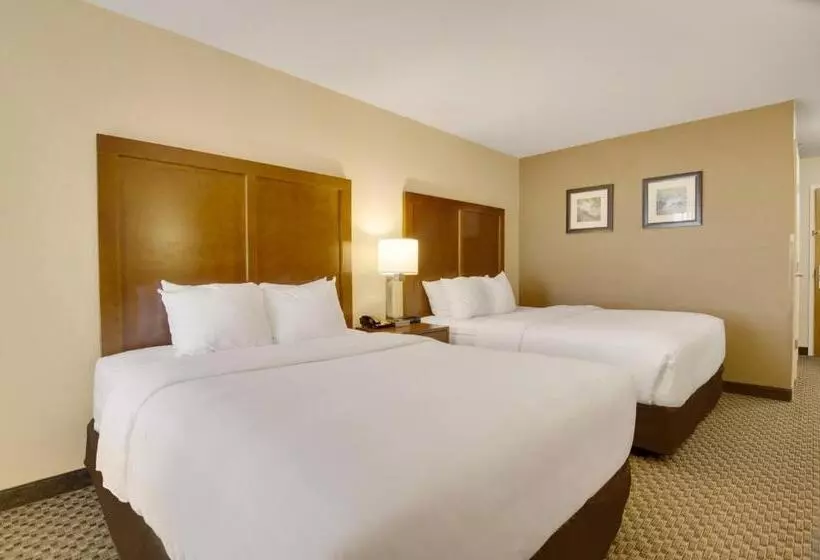 هتل Comfort Inn Airport