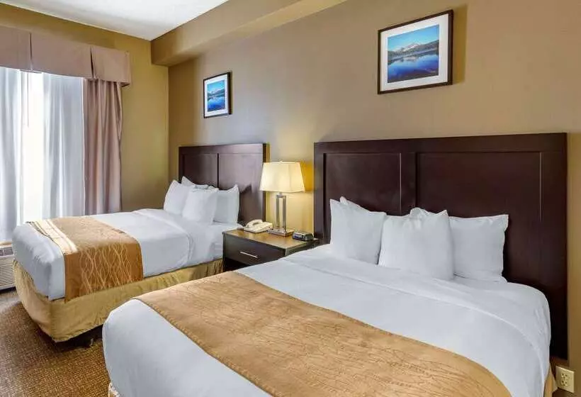 酒店 Comfort Inn Evanston I 80