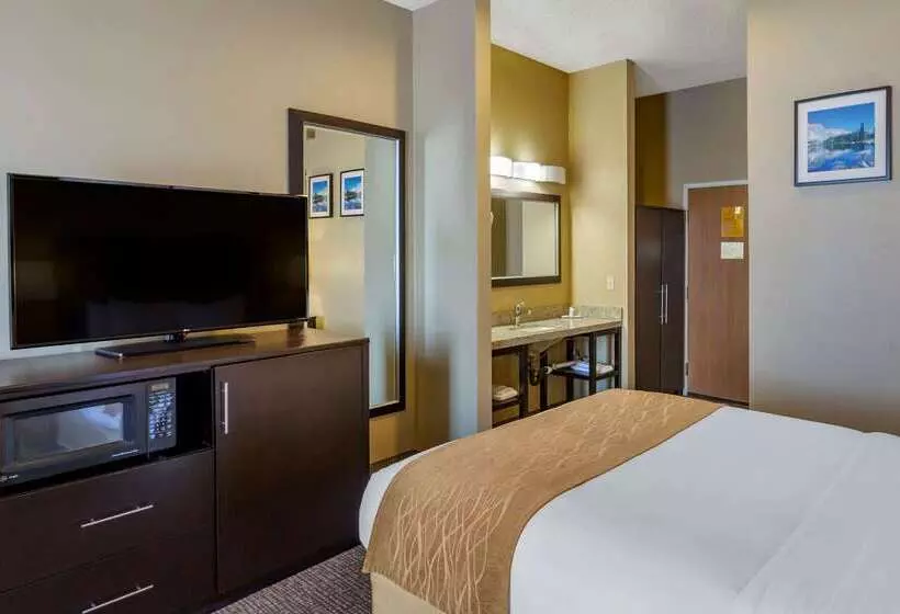 酒店 Comfort Inn Evanston I 80