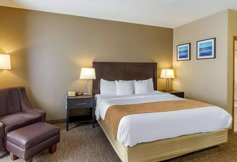 酒店 Comfort Inn Evanston I 80