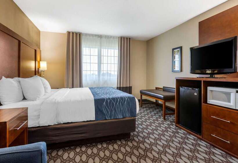 בית מלון כפרי Comfort Inn Story City