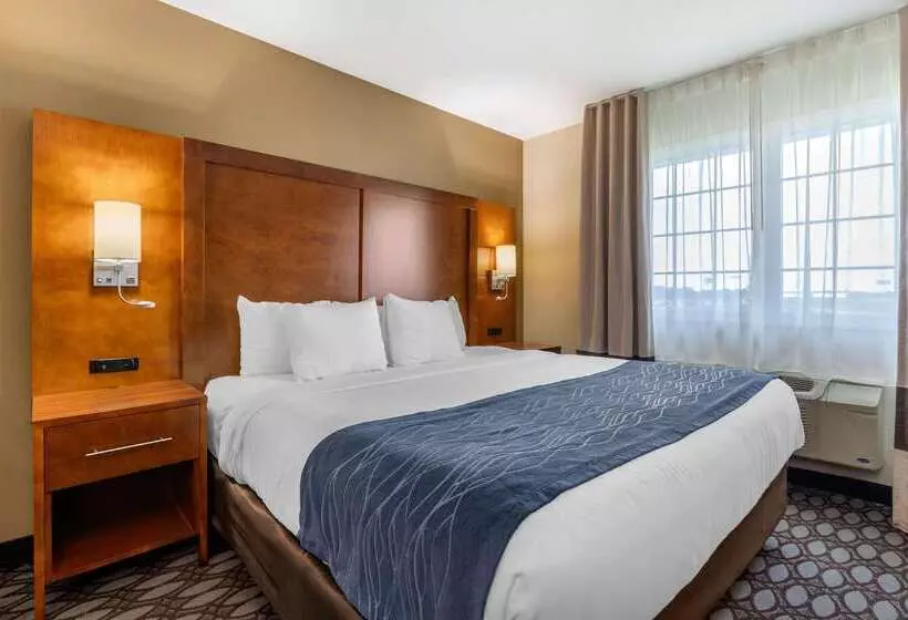 호텔 Comfort Inn Story City