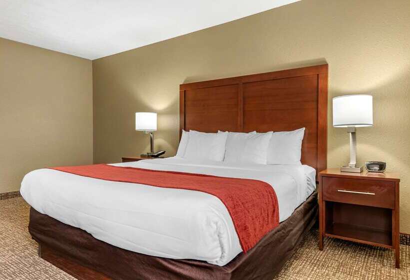 酒店 Comfort Inn & Suites Cincinnati Eastgate