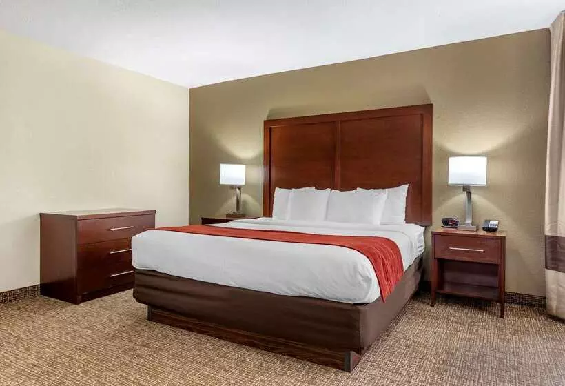 Hotel Comfort Inn & Suites Cincinnati Eastgate