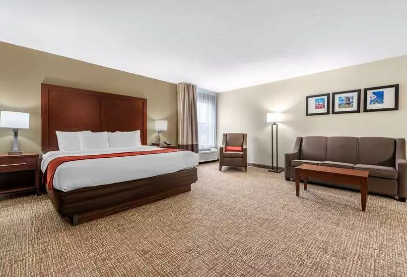 Hotel Comfort Inn & Suites Cincinnati Eastgate