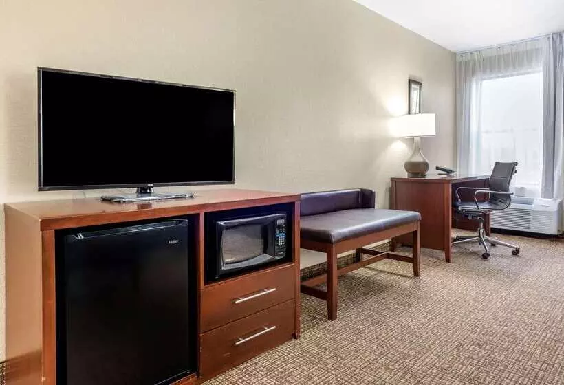 Hotel Comfort Inn & Suites Cincinnati Eastgate