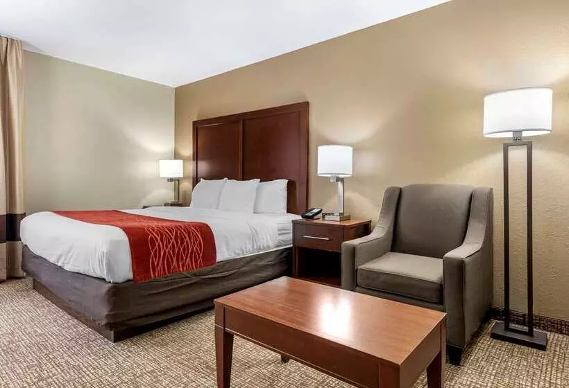 Hotel Comfort Inn & Suites Cincinnati Eastgate