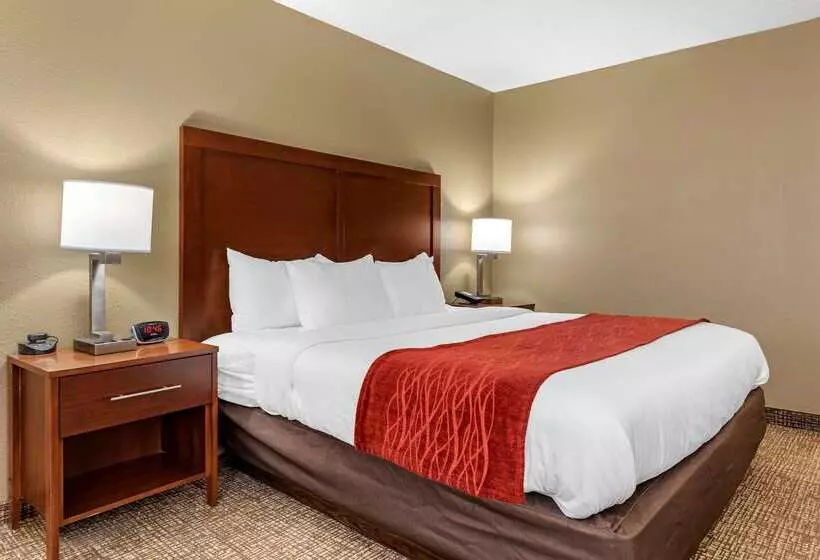 Hotel Comfort Inn & Suites Cincinnati Eastgate