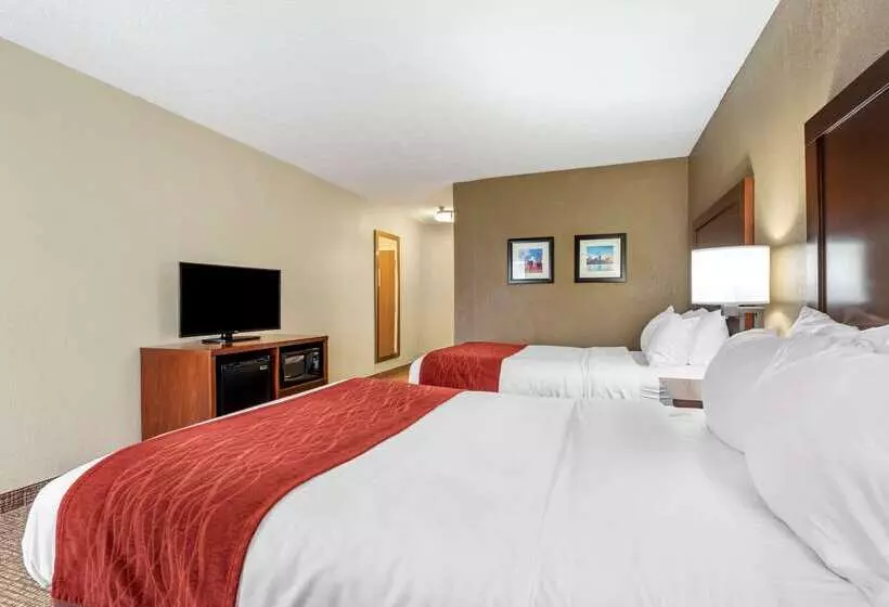 Hotel Comfort Inn & Suites Cincinnati Eastgate