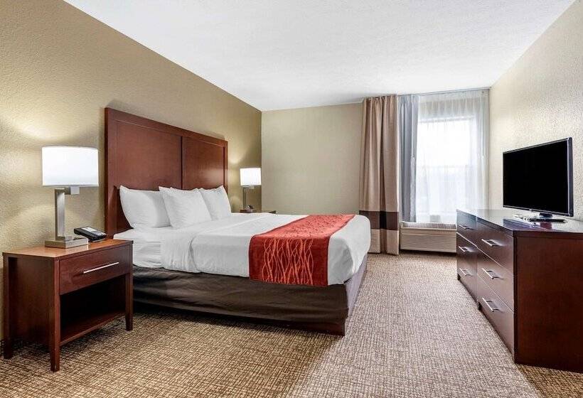 酒店 Comfort Inn & Suites Cincinnati Eastgate