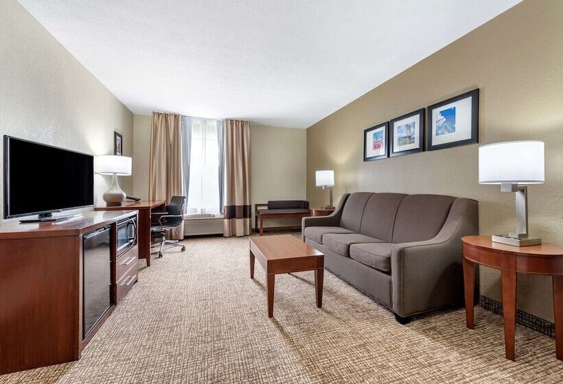 酒店 Comfort Inn & Suites Cincinnati Eastgate