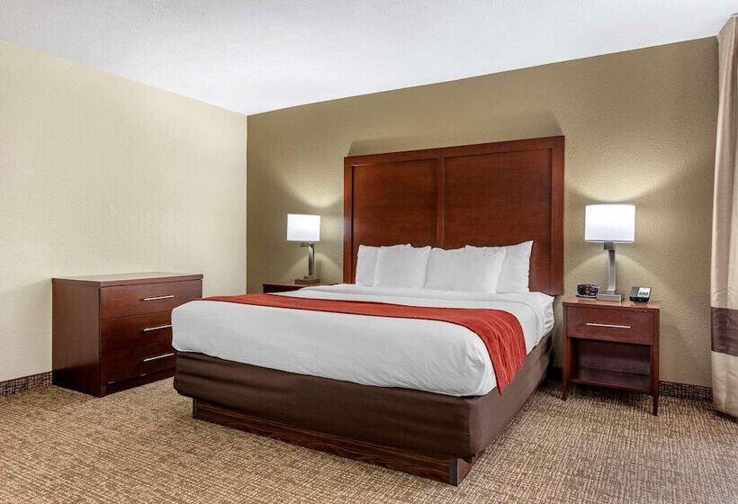 酒店 Comfort Inn & Suites Cincinnati Eastgate