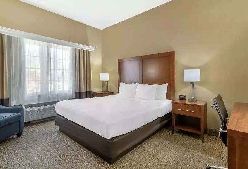 酒店 Comfort Inn & Suites Dover Portsmouth