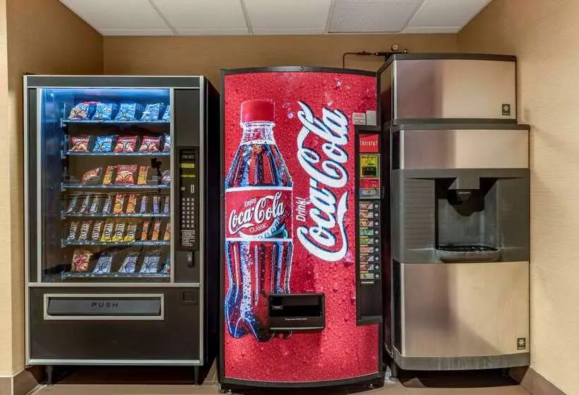 فندق Comfort Inn & Suites