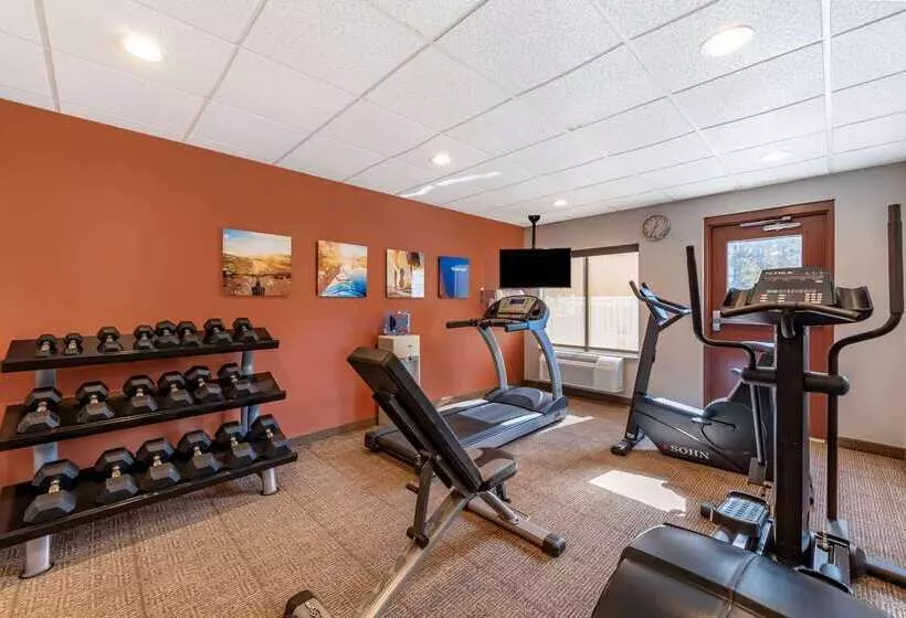 فندق Comfort Inn & Suites