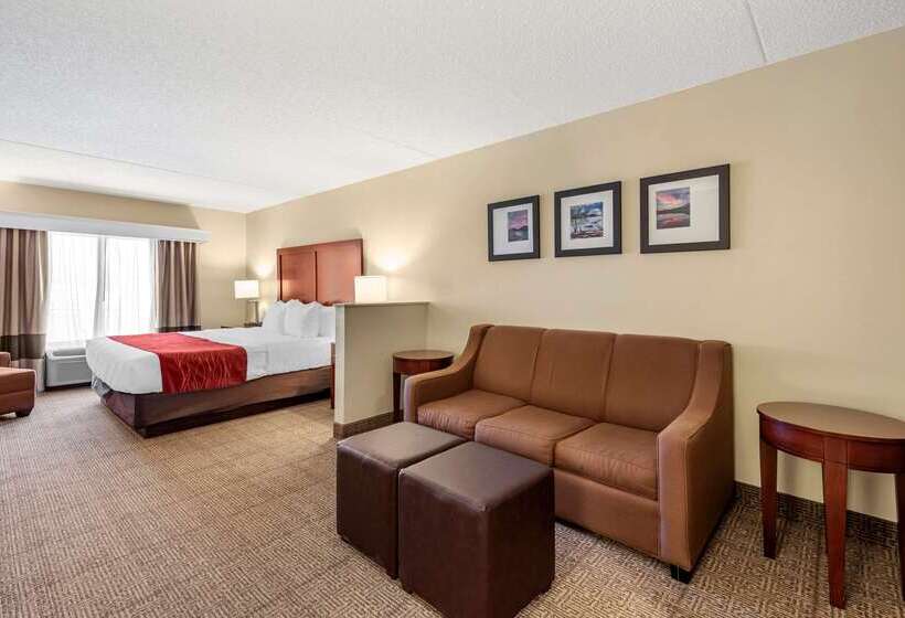 Отель Comfort Inn & Suites