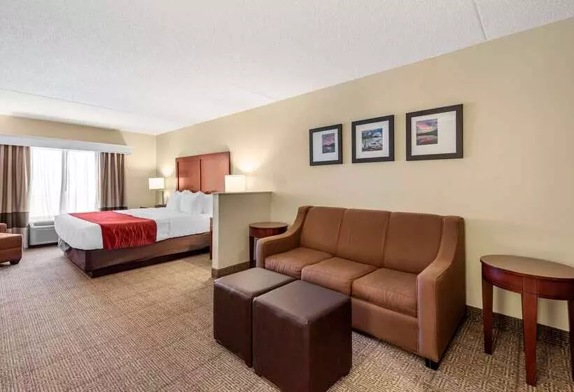 فندق Comfort Inn & Suites