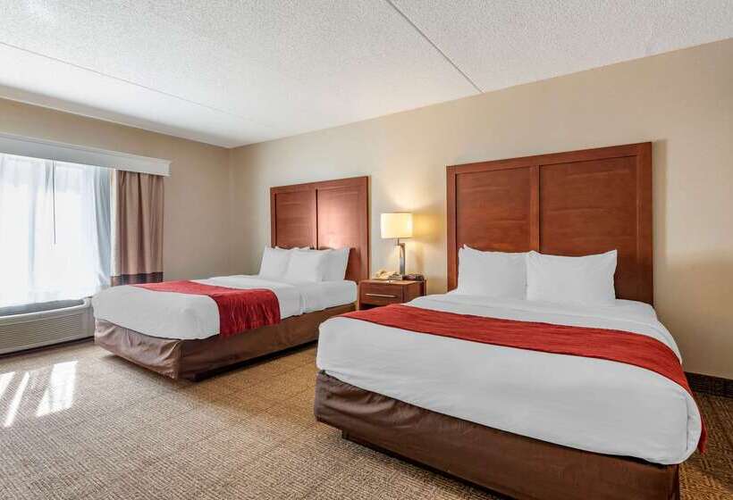 Отель Comfort Inn & Suites