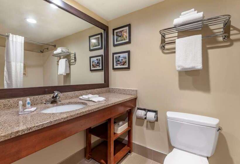 Отель Comfort Inn & Suites