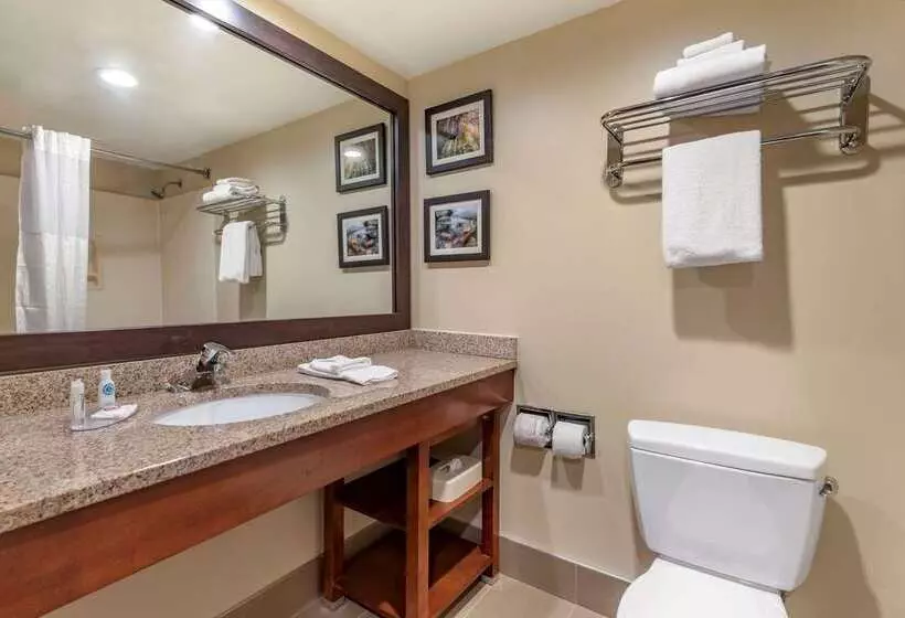 فندق Comfort Inn & Suites